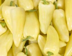 Bio fehér édes TV Paprika