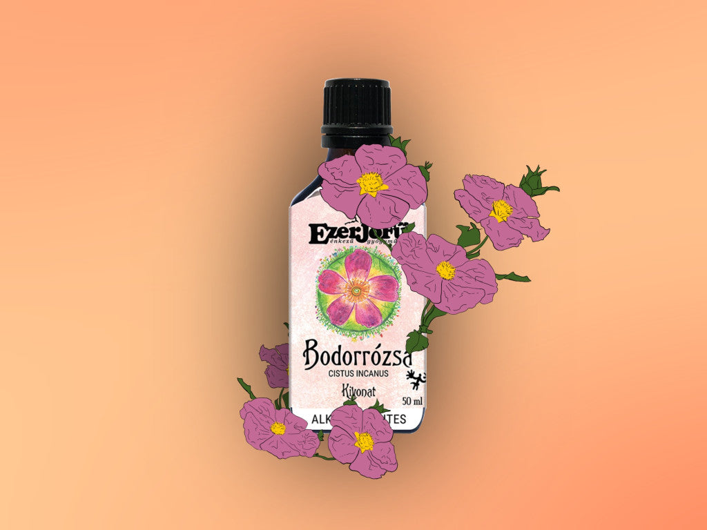 EzerJóFű -Bodorrózsa kivonat -alkoholmentes, glicerines(50ml
