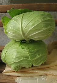 Káposzta -töltenivaló -kb.1 kg