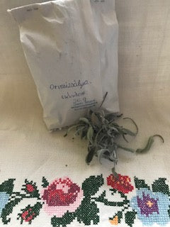 Orvosi zsálya (szárított) -50g