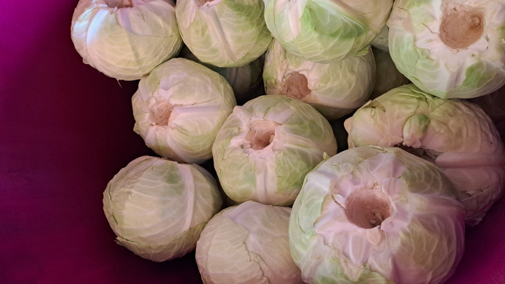 Savanyú káposzta a hagyomány becsületes íze