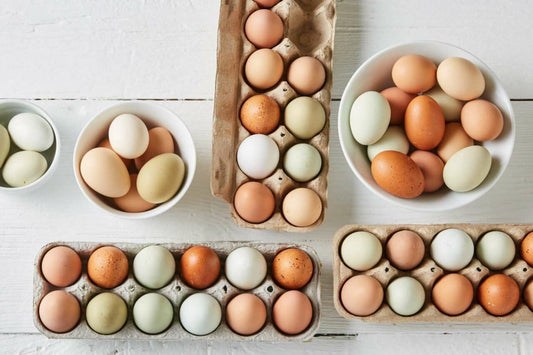 Harmadik cikk: Az Aranytojás – Miért a Szabadon Tartott Tyúkok Tojása a legértékesebb?