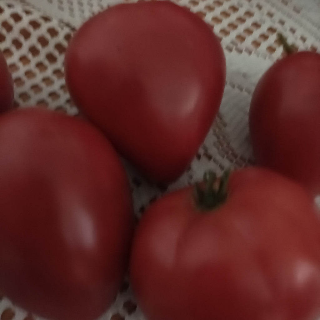 Paradicsom -Szív alakú savmentes -1 kg