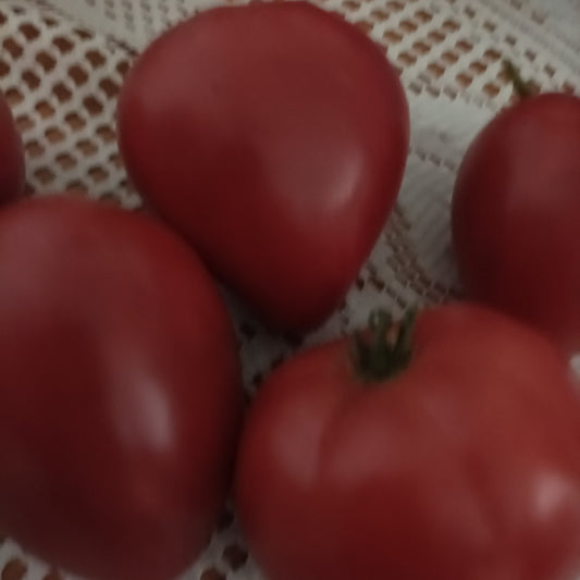 Paradicsom -Szív alakú savmentes -1 kg