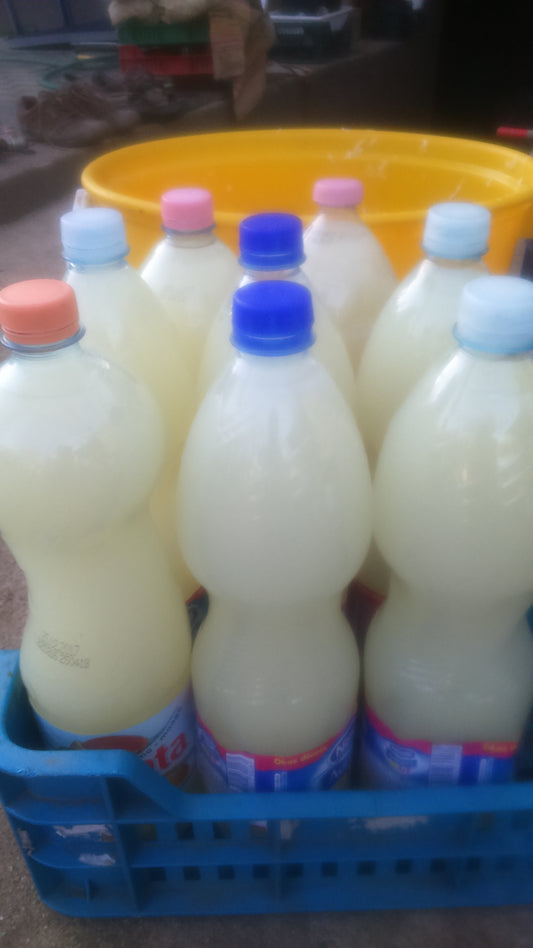 SavanyúKáposzta LÉ -1,5 l