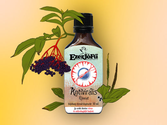 EzerJóFű -Antivirális alkoholmentes kivonat(50ml)