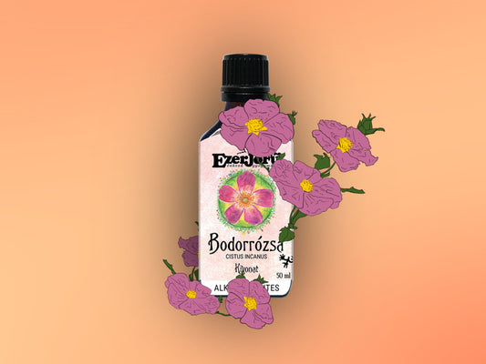 EzerJóFű -Bodorrózsa kivonat -alkoholmentes, glicerines(50ml