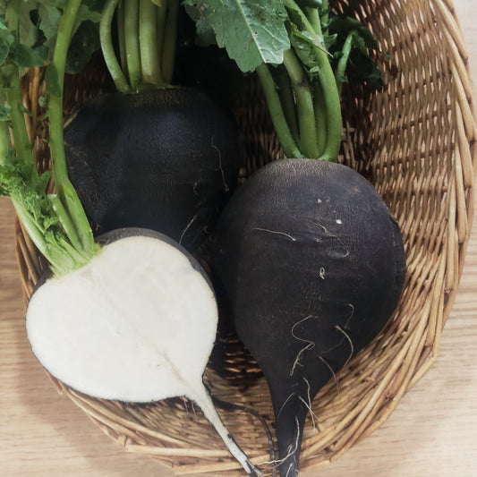 Fekete retek -50 dkg