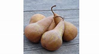 Bio körte Bosc Kobak -1 kg