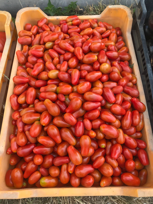 Bio Koktél Paradicsom -50 dkg