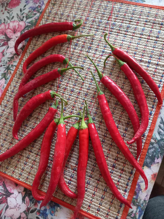 Csípős Paprika -fűzér