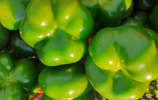 Pritamin paprika zöld 50 dkg