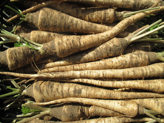 BIO új petrezselyem