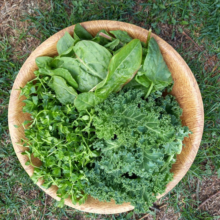 Levelek zöldturmixhoz FMTY