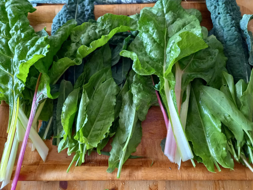 Levelek zöldturmixhoz MSV (10dkg)