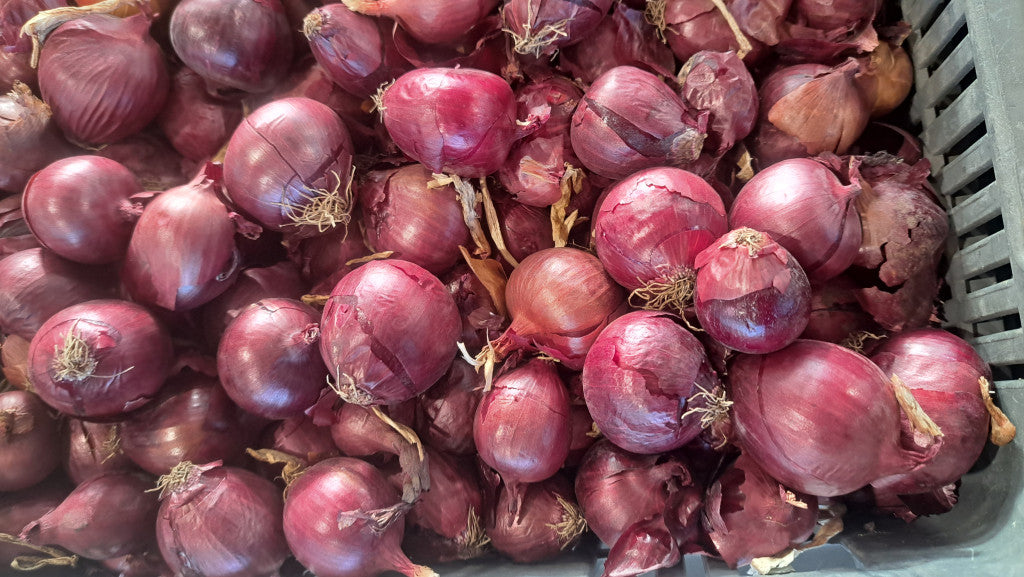 Lilla hagyma apró méret