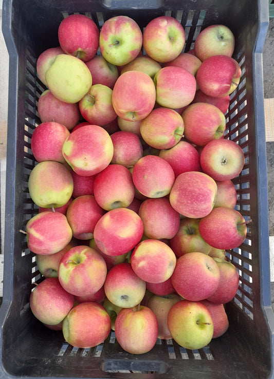 Alma - "Aprónép kedvence" 1 kg